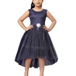 BAESD Girls Polka Dot Printed Net Fit & Flare Dress-picture-20