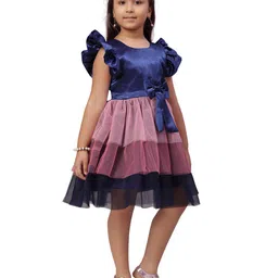 BAESD Flutter Sleeves Belted Layered Net Fit & Flare Dress image 2