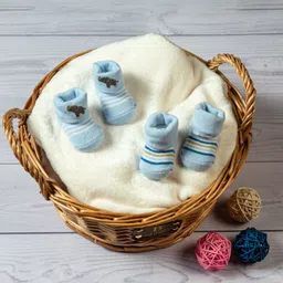 Baby Moo Infants Kids Pack Of 2 Blue Striped Ankle-Length Socks-9