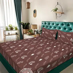 KLOTTHE Brown & Off White Floral Printed Fitted 300 TC King Bedsheet With 2 Pillow Covers-picture-9