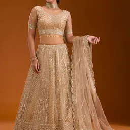 Koskii Embellished Sequinned Net Ready to Wear Lehenga & Blouse With Dupatta-14