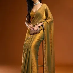 Shriyangan Beads and Stones Organza Saree-image-39