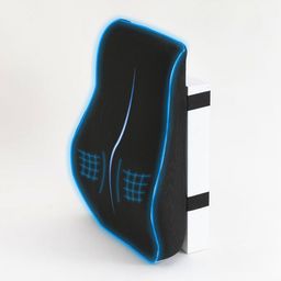 Savya Home Black  Lumbar Cushion-7