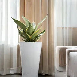 Go Hooked White Textured Planters With Tray image 4