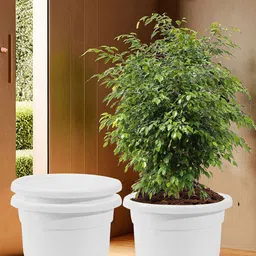Kuber Industries White 3 Pieces Recyclable Flower Pot With Removable Wheels-image-93