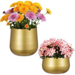 Inshreys Set of 2 Indoor Decorative Flower Pots-30