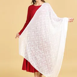 Dupatta Bazaar Floral Embroidered Thread Work Dupatta-image-61