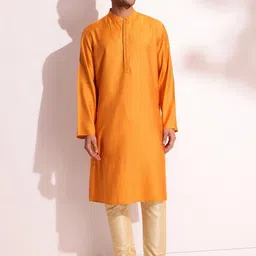 Fabindia Mandarin Collar Thread Work Straight Kurta-image-68