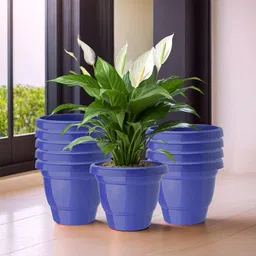 Kuber Industries 10Pc Blue Light Weight Planters-37