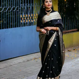 AMRUTKALA SAREES Ethnic Motifs Woven Design Zari Banarasi Saree-picture-54