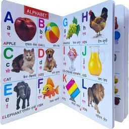 All in one Plastic Board Book for Pre-nursery to Primary Kids Edition : 22-image-50