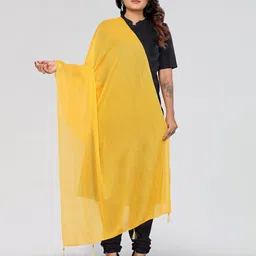 Moda Rapido Selection of 4 Striped Woven Design Dupatta image 3