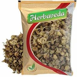 chota gokhru Seed-image-2