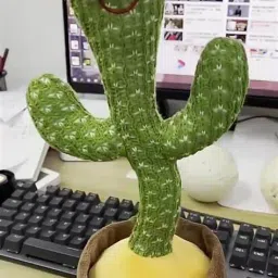 CHEEKU Dancing Cactus Talking Toy, Cactus Plush Toy (Green)A69-24