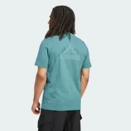 Terrex Graphic Tee-52