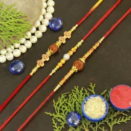 Rudraksh Rawat_S3_246-ShopsyA-11 Assorted Rakhi Set-image-58