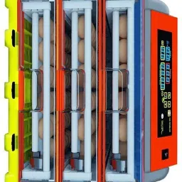 138-EGG-INCU-48-1 Egg Incubator-picture-2