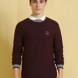 Allen Solly Men Round Neck Pullover Sweaters-image-34