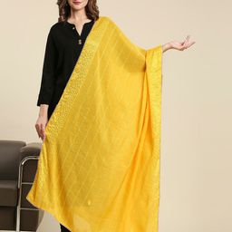 Dupatta Bazaar Striped Dupatta with Sequinned-25