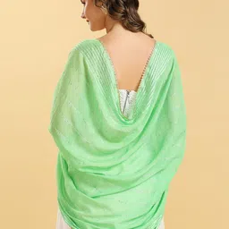 Dupatta Bazaar Embroidered Chanderi Dupatta image 2