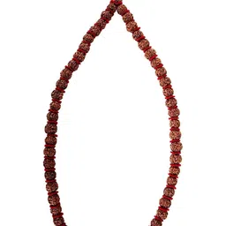 kesar zems Unisex Rudraksh Chain-image-34