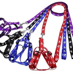 petstorez 1 pcs 15 mm Paw Print Leash and Harness Set for Small ,Medium Puppy Dog & Cat Harness & Leash image 4