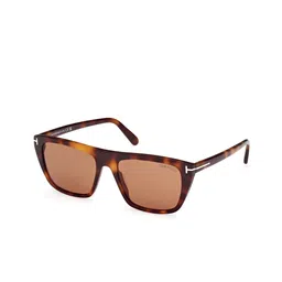 Tom Ford Men Havana Square Sunglasses with UV Protected Lens FT1175 56 53E-image-43