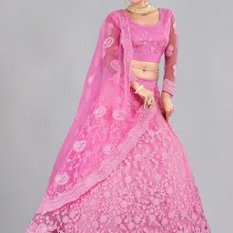 Warthy Ent Embroidered Thread Work Semi-Stitched Net Lehenga & Blouse With Dupatta-picture-22