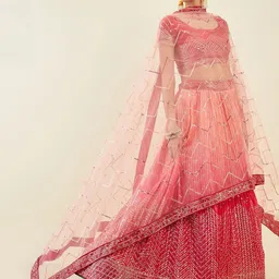 DIVASTRI Embellished Sequinned Semi-Stitched Lehenga & Unstitched Blouse With Dupatta image 4