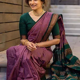 bigben textile Woven Design Zari Banarasi Saree-picture-25