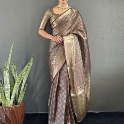 LeeliPeeri Designer Woven Design Zari Organza Kanjeevaram Saree-image-67