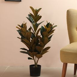 Home Bloom Green & Black Artificial Red Rubber Plant With Pot-15