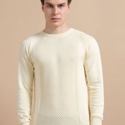 THINC Men Geometric Self Design Cotton Pullover Sweaters-picture-7