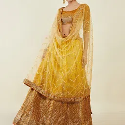 DIVASTRI Embellished Sequinned Semi-Stitched Lehenga & Unstitched Blouse With Dupatta-picture-18