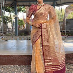 Mitera Polka Dot Zari Organza Saree-picture-6
