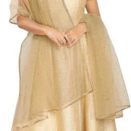 Net Self Design Gold Women Dupatta-image-66