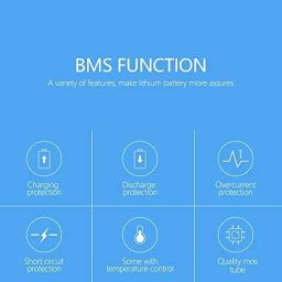 evliion 15S48V 60A DALY Make Battery Management System BMS Same Port for LFP LiFePo4 Battery DIY image 5