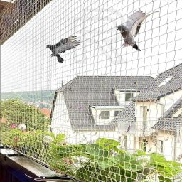 Bird Net/Anti Bird Net/Pigeon Net/Garden Net/Bird Control Net UV Stabilised HDPE Monofilament Netting Solution (White, 10 x 50) image 1