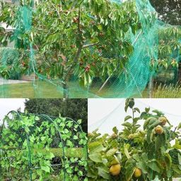 Bird Netting | Heavy-Duty Anti-Bird Protection For Garden, Fruit Trees, And Vegetables | Durable (10 X 15),Green image 2