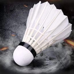 10pc Durable Feather Shuttlecock | High-Performance Feather Design for Indoor & Outdoor Badminton | Consistent Flight & Stability for Training & Match Play (Pack of 10pcs) image 1