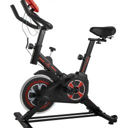 Dolphy Indoor Cycling Bike, Silent Belt Drive Exercise Bike Stationary Bicycle with Steel Flywheel, Adjustable Seat and Handlebar, LCD Monitor, Heart Rate Monitor image 1