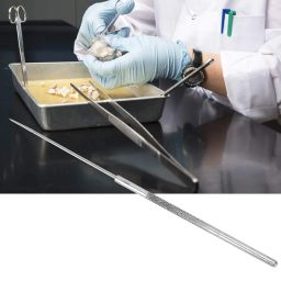 5Pcs Insect Dissection Needle Dissection Tool for Insect Dissection Experiment In Anatomic Teaching Dissection Experiment image 5