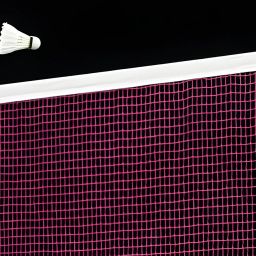 Sports Nets Badminton net for Outdoor Indoor Tournament net & Practice Net Size 20ft X 2.5ft (High Density Polyethylene (HDPE)) image 1