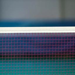Sports Nets Badminton net for Outdoor Indoor Tournament net & Practice Net Size 20ft X 2.5ft (High Density Polyethylene (HDPE)) image 4