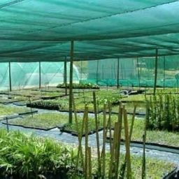 omuda UV Stabilized Agro Green House Net Garden Shade Net - 50%,2mx5m (6.5ft x 16ft) net Balcony Agriculture shadnet Netting House Multipurpose - Green (2X5M) image 2