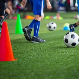 Elevate Your Training Events with FITFIX™ Sports Cone Marker pack of 12 Pcs Set Unleash Versatility and Durability for Every Activity - The Ultimate Solution comes in pack of 12 Pcs 9 inch Multicolour image 2