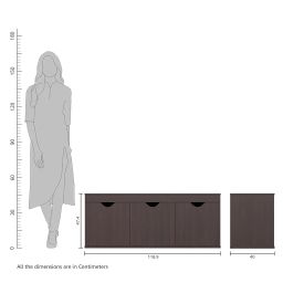 Amazon Brand - Solimo Sauron Engineered Wood 3 Door Shoe Rack (Wenge Finish) image 1