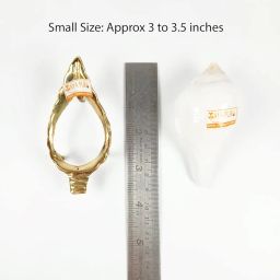 MAYAPURI Original Non-Blowing Authentic Puja Jal Shankh with Brass Sankh Stand, Pooja Jal Shankha, Jani Wala Shankh, Size Small Approx 3 inches (Pack of 1 Set) image 2