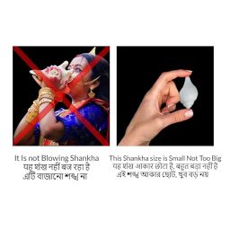 MAYAPURI Original Non-Blowing Authentic Puja Jal Shankh with Brass Sankh Stand, Pooja Jal Shankha, Jani Wala Shankh, Size Small Approx 3 inches (Pack of 1 Set) image 3