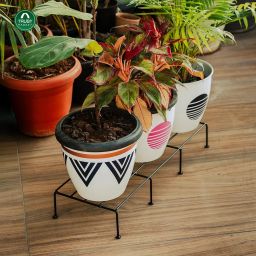 TrustBasket Bold Plant Stand | Heavy Duty, 24 Inch, Set of 4, 80 Kg Load Capacity | Rust Proof Metal with 9 layer Coating| | Plant Stands for Outdoor Balcony & Indoor Living Room | Pot Stands for Plants in Balcony image 5